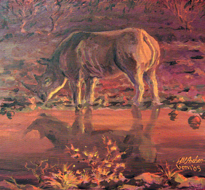 Bild Spitzmaulnashorn in der Dämmerung von Uli Aschenborn